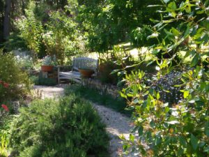 A seat for viewing the garden