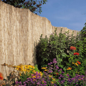 Reed Fences
