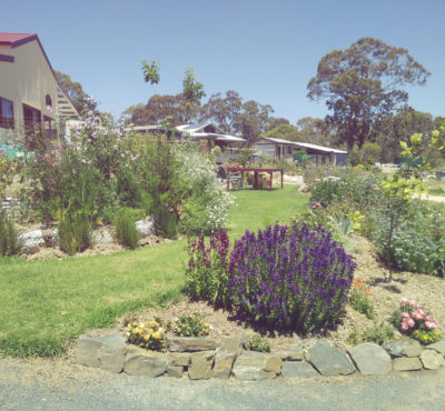 The Big Dig at Green Platypus Gardens