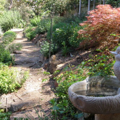 Steep slopes, ground covers & pretty perennials